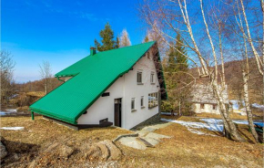 Nice Home In Begovo Razdolje With Wifi